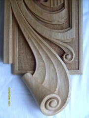 Janus